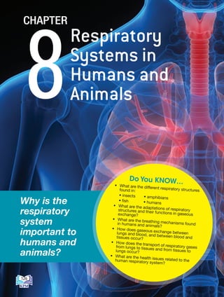 • What are the different respiratory structures
found in:
• insects • amphibians
• fish		 • humans
• What are the adaptations of respiratory
structures and their functions in gaseous
exchange?
• What are the breathing mechanisms found
in humans and animals?
• How does gaseous exchange between
lungs and blood, and between blood and
tissues occur?
• How does the transport of respiratory gases
from lungs to tissues and from tissues to
lungs occur?
• What are the health issues related to the
human respiratory system?
Do You KNOW…
Why is the
respiratory
system
important to
humans and
animals?
Respiratory
Systems in
Humans and
Animals
8
CHAPTER
126
BioT4(NC)-B8-EN New 7th.indd 126 1/9/2020 12:10:25 PM
 