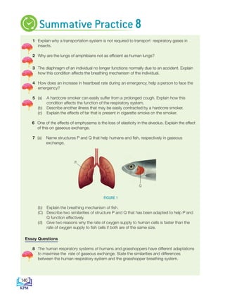 1 Explain why a transportation system is not required to transport respiratory gases in 		
insects.
2 Why are the lungs of amphibians not as efficient as human lungs?
3 The diaphragm of an individual no longer functions normally due to an accident. Explain
how this condition affects the breathing mechanism of the individual.
4 How does an increase in heartbeat rate during an emergency, help a person to face the
emergency?
5 (a) A hardcore smoker can easily suffer from a prolonged cough. Explain how this 		
		 condition affects the function of the respiratory system.
(b) Describe another illness that may be easily contracted by a hardcore smoker.
(c) Explain the effects of tar that is present in cigarette smoke on the smoker.
6 One of the effects of emphysema is the loss of elasticity in the alveolus. Explain the effect
of this on gaseous exchange.
7 (a) Name structures P and Q that help humans and fish, respectively in gaseous 		
exchange.
FIGURE 1
(b) Explain the breathing mechanism of fish.
(C) Describe two similarities of structure P and Q that has been adapted to help P and
		 Q function effectively.
(d) Give two reasons why the rate of oxygen supply to human cells is faster than the
		 rate of oxygen supply to fish cells if both are of the same size.
Essay Questions
8 The human respiratory systems of humans and grasshoppers have different adaptations
to maximise the rate of gaseous exchange. State the similarities and differences 		
between the human respiratory system and the grasshopper breathing system.
P
Q
Summative Practice 8
140
BioT4(NC)-B8-EN New 7th.indd 140 1/9/2020 12:10:50 PM
 