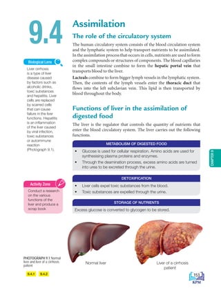 CHAPTER
9
Assimilation
The role of the circulatory system
The human circulatory system consists of the blood circulation system
and the lymphatic system to help transport nutrients to be assimilated.
In the assimilation process that occurs in cells, nutrients are used to form
complex compounds or structures of components. The blood capillaries
in the small intestine combine to form the hepatic portal vein that
transports blood to the liver.
Lacteals combine to form bigger lymph vessels in the lymphatic system.
Then, the contents of the lymph vessels enter the thoracic duct that
flows into the left subclavian vein. This lipid is then transported by
blood throughout the body.
Functions of liver in the assimilation of
digested food
The liver is the regulator that controls the quantity of nutrients that
enter the blood circulatory system. The liver carries out the following
functions.
9.4
9.4.1 9.4.2
METABOLISM OF DIGESTED FOOD
STORAGE OF NUTRIENTS
DETOXIFICATION
• Glucose is used for cellular respiration. Amino acids are used for
synthesising plasma proteins and enzymes.
• Through the deamination process, excess amino acids are turned
into urea to be excreted through the urine.
Excess glucose is converted to glycogen to be stored.
• Liver cells expel toxic substances from the blood.
• Toxic substances are expelled through the urine.
Liver cirrhosis
is a type of liver
disease caused
by factors such as
alcoholic drinks,
toxic substances
and hepatitis. Liver
cells are replaced
by scarred cells
that can cause
failure in the liver
functions. Hepatitis
is an inflammation
of the liver caused
by viral infection,
toxic substances
or autoimmune
reaction
(Photograph 9.1).
Biological Lens
Conduct a research
on the various
functions of the
liver and produce a
scrap book
Activity Zone
Normal liver Liver of a cirrhosis
patient
PHOTOGRAPH 9.1 Normal
liver and liver of a cirrhosis
patient
153
BioT4(NC)-B9-EN New 7th.indd 153 1/9/2020 12:10:16 PM
 