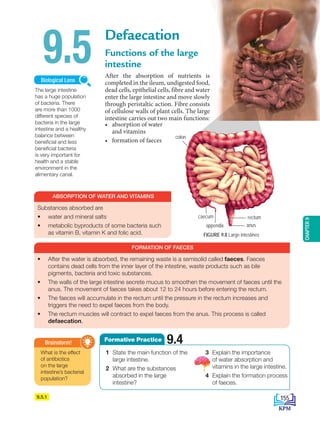 CHAPTER
9
9.5.1
9.5
The large intestine
has a huge population
of bacteria. There
are more than 1000
different species of
bacteria in the large
intestine and a healthy
balance between
beneficial and less
beneficial bacteria
is very important for
health and a stable
environment in the
alimentary canal.
Biological Lens
What is the effect
of antibiotics
on the large
intestine’s bacterial
population?
Brainstorm!
1 State the main function of the
large intestine.
2 What are the substances
absorbed in the large
intestine?
3 Explain the importance
of water absorption and
vitamins in the large intestine.
4 Explain the formation process
of faeces.
9.4
Formative Practice
FORMATION OF FAECES
ABSORPTION OF WATER AND VITAMINS
• After the water is absorbed, the remaining waste is a semisolid called faeces. Faeces
contains dead cells from the inner layer of the intestine, waste products such as bile
pigments, bacteria and toxic substances.
• The walls of the large intestine secrete mucus to smoothen the movement of faeces until the
anus. The movement of faeces takes about 12 to 24 hours before entering the rectum.
• The faeces will accumulate in the rectum until the pressure in the rectum increases and
triggers the need to expel faeces from the body.
• The rectum muscles will contract to expel faeces from the anus. This process is called
defaecation.
Substances absorbed are
• water and mineral salts
• metabolic byproducts of some bacteria such
as vitamin B, vitamin K and folic acid. FIGURE 9.8 Large intestines
colon
caecum
appendix anus
rectum
Defaecation
Functions of the large
intestine
After the absorption of nutrients is
completed in the ileum, undigested food,
dead cells, epithelial cells, fibre and water
enter the large intestine and move slowly
through peristaltic action. Fibre consists
of cellulose walls of plant cells. The large
intestine carries out two main functions:
• absorption of water
and vitamins
• formation of faeces
155
BioT4(NC)-B9-EN New 7th.indd 155 1/9/2020 12:10:16 PM
 