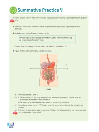 1 Some people cannot drink milk because it causes diarrhoea and a bloated stomach. Explain
why.
2 Amin had some meat dishes for lunch. Explain how the protein is digested in Amin’s
stomach.
3 An individual has the following eating habits:
Explain how this eating habit can affect the health of this individual.
4 Figure 1 shows the alimentary canal in humans.
FIGURE 1
		 (a) Name structures X and Y.
		 (b) (i) The enzymes in X are only effective in an alkaline environment. Explain how an
alkaline environment is maintained in X.
			 (ii) Explain how Y is involved in the digestion of carbohydrates in X.
		 (c) Name the enzyme found in Z. Explain how this enzyme functions in the digestion of
proteins.
		 (d) A student enjoys eating a lot of oranges. Explain the effect of eating too many oranges
on the digestion of starch in X.
Summative Practice 9
Overeating in a short period of time followed by intentional throwing
up on purpose after each meal.
X
Z
Y
164
BioT4(NC)-B9-EN New 7th.indd 164 1/9/2020 12:10:24 PM
 