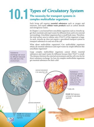 body cells
The necessity for transport systems in
complex multicellular organisms
Each living cell requires essential substances such as oxygen and
nutrients, and expels cellular waste products such as carbon dioxide
and nitrogenous wastes.
In Chapter 2, you learned how unicellular organisms such as Amoeba sp.
get their essentials and expel wastes by diffusion from and to its external
surroundings. Unicellular organisms have a small body mass. Therefore,
the total surface area to volume ratio (TSA/V) of the organism is large.
As such, Amoeba sp. does not require a specialised transport system to
transport substances in and out of the cell.
What about multicellular organisms? Can multicellular organisms
obtain all essential substances and expel wastes by simple diffusion like
unicellular organisms?
Large complex multicellular organisms cannot obtain essential
substances and expel wastes by diffusion because their TSA/V is small.
The distance between the external environment and the cell is too far for
direct substance exchange. So, how do complex multicellular organisms
get essential substances for their cells?
Types of Circulatory System
10.1
10.1.2
10.1.1
FIGURE 10.2 Substance
exchange for multicellular
organisms
external environment
is far away from cells
external environment
epidermis
Substance
exchange can occur
by diffusion because
the cells are in the
environment.
Substance
exchange cannot
occur by diffusion
because the
cells are too far
away from the
environment.
FIGURE 10.1 Substance
exchange for unicellular
organisms
168
BioT4(NC)-B10A-EN New 7th.indd 168 1/9/2020 12:09:19 PM
 