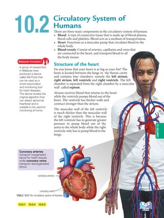 There are three main components in the circulatory system of humans.
• Blood: A type of connective tissue that is made up of blood plasma,
blood cells and platelets. Blood acts as a medium of transportation.
• Heart: Functions as a muscular pump that circulates blood to the
whole body.
• Blood vessels: Consist of arteries, capillaries and veins that
are connected to the heart, and transport blood to all
the body tissues.
Structure of the heart
Do you know that your heart is as big as your fist? The
heart is located between the lungs in the thorax cavity
and contains four chambers, namely the left atrium,
right atrium, left ventricle and right ventricle. The left
chamber is separated from the right chamber by a muscular
wall called septum.
Atrium receives blood that returns to the heart
while the ventricle pumps blood out of the
heart. The ventricle has thicker walls and
contract stronger than the atrium.
The muscular wall of the left ventricle
is much thicker than the muscular wall
of the right ventricle. This is because
the left ventricle has to generate greater
pressure to pump blood out of the
aorta to the whole body while the right
ventricle only has to pump blood to the
lungs.
Circulatory System of
Humans
10.2
A group of researchers
in Malaysia have
produced a device
called MyThrob that
can be used as a
smart examination
and monitoring tool
for heart diseases.
The device studies the
original algorithm that
can detect abnormal
heartbeat and is
suitable to be used for
monitoring at home.
Malaysian Innovation
10.2.1 10.2.4 10.2.5
coronary arteries
coronary veins
Coronary arteries
transport oxygenated
blood for heart tissues
while coronary veins
transport deoxygenated
blood.
arteri koronari
vena koronari
TABLE 10.8 The circulatory system of humans
173
CHAPTER
10
BioT4(NC)-B10A-EN New 7th.indd 173 1/9/2020 12:09:21 PM
 
