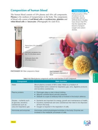 Composition of human blood
The human blood consists of 55% plasma and 45% cell components.
Plasma is the medium of transportation in the body. The components
of blood cells consist of red blood cells or erythrocytes, platelets and
white blood cells or leucocytes (Photographs 10.1 and 10.2).
Perfluorocarbon (PFC)
emulsions can be
potentially used as
artificial blood. Studies
have shown that PFC
has the capacity like
blood to transport
oxygen and carbon
dioxide.
Biological Lens
TABLE 10.2 Blood plasma components and the main function of each component
Component Main function
Water Blood plasma consists of 90% water. Water is a medium of
transportation and a solvent for respiratory gas, ions, digestive products
and excretory substances.
Plasma proteins • Fibrinogen plays a role in blood clotting.
• Albumin controls blood osmotic pressure.
• Globulin is a type of antibody that is involved in the body’s defence.
Solutes – nutrients such
as glucose, excretory
substances such as
urea and respiratory gas
• Nutrients are important for energy, growth and maintenance of health.
• Excretory substances are toxic substances that need to be disposed
off from the body.
• Oxygen is required in the respiration of cells.
Hormones and enzymes Hormones control physiological activities in the body. Enzymes are
involved in the metabolic processes of cells.
platelet
leucocyte
erythrocyte
PHOTOGRAPH 10.2
Main structural components of
blood
10.2.2
PHOTOGRAPH 10.1 Main components of blood
Plasma (forms 55% of the blood
volume)
Erythrocytes (forms 45%
of the blood volume)
Leucocytes and platelets (less
than 1% of the blood volume)
175
CHAPTER
10
BioT4(NC)-B10A-EN New 7th.indd 175 1/9/2020 12:09:27 PM
 