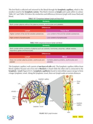 The lymphatic capillary wall consists of one layer of cells only. The lymphatic capillary differs from
blood capillary because one of its end is blocked or closed while the other end is connected to the
lymphatic vessel (Figure10.21). Lymphatic capillaries found in intercellular spaces merge to form
a larger lymphatic vessel. Along the lymphatic vessel, there are lymph nodes at certain distances.
10.7.3
10.7.2
The lost fluid is collected and returned to the blood through the lymphatic capillary, which is the
smallest vessel in the lymphatic system. This fluid is known as lymph and is pale yellow in colour.
Table 10.7 and Table 10.8 show the similarities and differences between lymph with tissue fluid and
blood.
TABLE 10.7 Comparison between lymph and tissue fluid
Similarity
Both contain plasma without the plasma proteins, erythrocytes and platelets.
Differences
Lymph Tissue fluid
Higher content of fat and fat-soluble substances Low content of fat and fat-soluble substances
High content of lymphocytes Low content of lymphocytes
TABLE 10.8 Comparison between lymph and blood
Similarity
Both contain all the contents of plasma such as nutrients, hormones, enzymes, cellular wastes,
respiratory gases and leucocytes.
Differences
Lymph Blood
Does not contain plasma protein, erythrocyte and
platelet
Contains plasma proteins, erythrocytes and
platelets
FIGURE 10.21 Lymph formation
lymphatic
capillary
lymph
tissue
fluid
valve
arteriole
lymphatic vessel
tissue
fluid
cell
venule
lymphatic capillary
190
BioT4(NC)-B10B-EN New 6th.indd 190 1/9/2020 12:09:37 PM
 