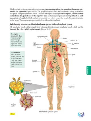 right lymphatic duct
tonsils
left subclavian
vein
right
subclavian
vein
spleen
appendix
lymph node
bone marrow
thoracic duct
lymphatic
vessel
thymus
The lymphatic system consists of organs such as lymph nodes, spleen, thymus gland, bone marrow,
tonsils and appendix (Figure 10.22). The lymphatic system does not have its own pump to circulate
the lymph along the lymphatic vessel. The flow of lymph is aided by heartbeat pulse, contraction of
skeletal muscles, peristalsis in the digestive tract and changes in pressure during inhalation and
exhalation of breath. In the lymphatic vessel, one-way valves ensure the lymph flows continuously
to the heart. These valves also prevent the lymph from flowing back.
Relationship between the blood circulatory system and the lymphatic system
All lymphatic vessels will eventually join with one of the two main lymphatic vessels which are the
thoracic duct dan right lymphatic duct (Figure 10.22).
FIGURE 10.22 Lymphatic system
10.7.3
The right
lymphatic duct
receives lymph
from the right
hand, chest and
right side of the
head and neck.
The thoracic
duct receives
lymph from the left
side of the head,
neck and chest,
and all the body
parts below the
ribs.
lymph nodes
lymphocyte
valve
blood vessel
tissue fluid
lymphatic
capillary
191
CHAPTER
10
BioT4(NC)-B10B-EN New 6th.indd 191 1/9/2020 12:09:38 PM
 