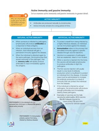 • When someone is infected by pathogens,
lymphocytes will produce antibodies as
a response to these antigens.
• When an individual recovers from an
infection, that individual will gain a
permanent immunity against the disease.
• When the individual is attacked again by
the same pathogen, the lymphocytes that
stored memories of the pathogen, that
is, memory cells will rapidly produce
antibodies to react immediately against
the antigens.
Active immunity and passive immunity
Let us examine active immunity and passive immunity in greater detail.
• To protect oneself from being infected by
a highly infectious disease, an individual
can be immunised against the disease.
• Immunisation refers to the process that
stimulates immunity against a specific
disease through vaccine injections.
• Vaccine is a suspension of pathogens
that are weakened, dead or non-virulent.
• When a vaccine is injected into the body,
the vaccine will stimulate lymphocytes
to produce antibodies to fight the
pathogens.
• The first vaccine injection will usually
result in a low level of antibody
production which is insufficient to protect
an individual from the disease. A booster
dose must be administered to increase
the antibody production to a level of
immunity that can protect the individual
from the disease.
• If the individual is infected by actual
pathogens, the lymphocytes will produce
enough antibodies and immediately
destroy these pathogens.
• Examples of vaccines are the Salk
vaccine for poliomyelitis, BCG vaccine
(Bacille Calmette-Guerin) for
tuberculosis (TB) and HPV
vaccine for cervical cancer.
Why are only female
pupils given the HPV
vaccination (Human
papillomavirus)?
Brainstorm!
• Antibodies are produced naturally by lymphocytes.
• Active immunity remains for a long period of time.
ACTIVE IMMUNITY
NATURAL ACTIVE IMMUNITY ARTIFICIAL ACTIVE IMMUNITY
11.3.1
PHOTOGRAPH 11.2 An individual who has
recovered from chickenpox or influenza has gained a
natural active immunity
PHOTOGRAPH 11.3 Immunisation
protects a person from being
infected by infectious diseases
206
BioT4(6th)-B11-FA-EN New 7th.indd 206 1/9/2020 11:58:32 AM
 
