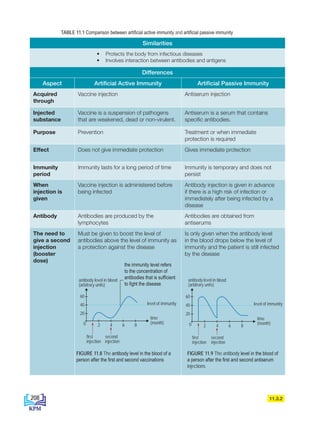 Similarities
• Protects the body from infectious diseases
• Involves interaction between antibodies and antigens
Differences
Aspect Artificial Active Immunity Artificial Passive Immunity
Acquired
through
Vaccine injection Antiserum injection
Injected
substance
Vaccine is a suspension of pathogens
that are weakened, dead or non-virulent.
Antiserum is a serum that contains
specific antibodies.
Purpose Prevention Treatment or when immediate
protection is required
Effect Does not give immediate protection Gives immediate protection
Immunity
period
Immunity lasts for a long period of time Immunity is temporary and does not
persist
When
injection is
given
Vaccine injection is administered before
being infected
Antibody injection is given in advance
if there is a high risk of infection or
immediately after being infected by a
disease
Antibody Antibodies are produced by the
lymphocytes
Antibodies are obtained from
antiserums
The need to
give a second
injection
(booster
dose)
Must be given to boost the level of
antibodies above the level of immunity as
a protection against the disease
Is only given when the antibody level
in the blood drops below the level of
immunity and the patient is still infected
by the disease
11.3.2
0 4
2 6 8
20
40
60
antibody level in blood
(arbitrary units)
time
(month)
level of immunity
first
injection
second
injection
FIGURE 11.8 The antibody level in the blood of a
person after the first and second vaccinations
the immunity level refers
to the concentration of
antibodies that is sufficient
to fight the disease
0 4
2 6 8
20
40
60
antibody level in blood
(arbitrary units)
time
(month)
level of immunity
first
injection
second
injection
FIGURE 11.9 The antibody level in the blood of
a person after the first and second antiserum
injections
TABLE 11.1 Comparison between artificial active immunity and artificial passive immunity
208
BioT4(6th)-B11-FA-EN New 7th.indd 208 1/9/2020 11:58:37 AM
 