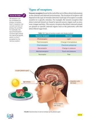 Types of receptors
Sensoryreceptorsfoundattheendofthenervefibresdetectinformation
in the external and internal environments. The location of receptors will
depend on the type of stimulus detected. Each type of receptor is usually
sensitive to a specific stimulus. For example, the sensory receptors that
detect external stimuli are found in special sensory organs such as eyes,
nose, tongue and skin. The sensory receptors that detect internal stimuli
are present in specific internal organs such as the pancreatic cells that
detect blood sugar level.
FIGURE 12.3 Detection of external stimulus by the photoreceptor
All receptors can
be considered as
energy converters,
that is, receptors can
convert one form of
energy into another.
For example, the
eye photoreceptor
converts light energy
into electrical signals,
which is a form
accepted by the
nervous system.
Across the fields
integration centre
(the brain)
light stimulus
receptor (photoreceptor)
12.1.3
TABLE 12.1 Types of sensory receptors and stimulus involved
Sensory receptor Stimulus
Photoreceptor Light
Thermoreceptor Change in temperature
Chemoreceptor Chemical substances
Baroreceptor Change in pressure
Mechanoreceptor Touch and pressure
Nociceptor Pain
sensory neurone
(optic nerve)
218
BioT4(6th)-B12-FA-EN New 6th.indd 218 1/9/2020 11:57:55 AM
 