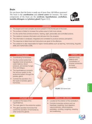AR
FIGURE 12.5 Human brain
12.2.2
Brain
Do you know that the brain is made up of more than 100 billion neurones?
The brain is the coordination and control centre for humans. The main
components of the brain are the cerebrum, hypothalamus, cerebellum,
medulla oblongata and pituitary gland (Figure 12.5).
spinal
cord
HYPOTHALAMUS
• Coordinating homeostasis.
• It is the control centre that
regulates body temperature,
water balance, blood
pressure, and senses hunger,
thirst and fatigue.
• The hypothalamus connects
the nervous system to the
endocrine system through the
pituitary gland.
• Controls the secretion of a
few types of pituitary gland
hormones.
CEREBRUM
Maintains body
balance and
coordination of
muscle contraction
for body
movement.
CEREBELLUM
• Located at the anterior of the cerebellum.
• Controls involuntary actions such as
heartbeat, breathing, food digestion,
vasoconstriction, blood pressure,
peristalsis, vomiting, coughing, sneezing
and swallowing.
MEDULLA OBLONGATA
• The largest and most complex structure present in the frontal part of the brain.
• The surface is folded to increase the surface area to hold more nerves.
• It is the centre that controls emotions, hearing, sight, personality and controlled actions.
• The cerebrum receives information and stimulus from the receptor.
• This information is analysed, integrated and correlated to produce sensory perception.
• The response is determined and instructions are given to the effectors.
• The cerebrum is also responsible for higher mental abilities such as learning, memorising, linguistic
skills and mathematics skills.
• Located at the base of the
hypothalamus.
• The main gland in the endocrine system.
• This gland secretes hormones that
control the secretion of hormones by
other endocrine glands.
PITUITARY GLAND
221
CHAPTER
12
BioT4(6th)-B12-FA-EN New 6th.indd 221 1/9/2020 11:57:57 AM
 