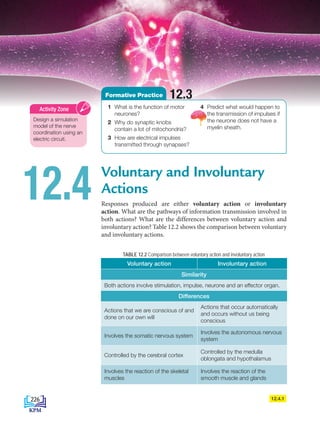 12.4 Voluntary and Involuntary
Actions
Responses produced are either voluntary action or involuntary
action. What are the pathways of information transmission involved in
both actions? What are the differences between voluntary action and
involuntary action? Table 12.2 shows the comparison between voluntary
and involuntary actions.
12.4.1
TABLE 12.2 Comparison between voluntary action and involuntary action
Voluntary action Involuntary action
Similarity
Both actions involve stimulation, impulse, neurone and an effector organ.
Differences
Actions that we are conscious of and
done on our own will
Actions that occur automatically
and occurs without us being
conscious
Involves the somatic nervous system
Involves the autonomous nervous
system
Controlled by the cerebral cortex
Controlled by the medulla
oblongata and hypothalamus
Involves the reaction of the skeletal
muscles
Involves the reaction of the
smooth muscle and glands
Design a simulation
model of the nerve
coordination using an
electric circuit.
Activity Zone 1 What is the function of motor
neurones?
2 Why do synaptic knobs
contain a lot of mitochondria?
3 How are electrical impulses
transmitted through synapses?
4 Predict what would happen to
the transmission of impulses if
the neurone does not have a
myelin sheath.		
12.3
Formative Practice
226
BioT4(6th)-B12-FA-EN New 6th.indd 226 1/9/2020 11:58:02 AM
 