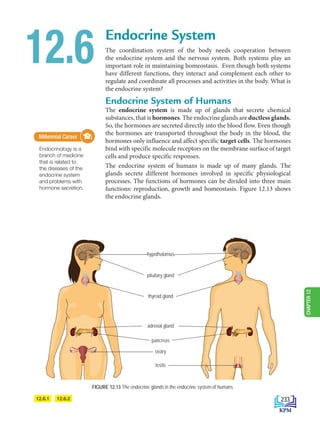 Endocrine System
The coordination system of the body needs cooperation between
the endocrine system and the nervous system. Both systems play an
important role in maintaining homeostasis. Even though both systems
have different functions, they interact and complement each other to
regulate and coordinate all processes and activities in the body. What is
the endocrine system?
Endocrine System of Humans
The endocrine system is made up of glands that secrete chemical
substances, that is hormones. The endocrine glands are ductless glands.
So, the hormones are secreted directly into the blood flow. Even though
the hormones are transported throughout the body in the blood, the
hormones only influence and affect specific target cells. The hormones
bind with specific molecule receptors on the membrane surface of target
cells and produce specific responses.
The endocrine system of humans is made up of many glands. The
glands secrete different hormones involved in specific physiological
processes. The functions of hormones can be divided into three main
functions: reproduction, growth and homeostasis. Figure 12.13 shows
the endocrine glands.
12.6
FIGURE 12.13 The endocrine glands in the endocrine system of humans
Millennial Career
Endocrinology is a
branch of medicine
that is related to
the diseases of the
endocrine system
and problems with
hormone secretion.
Millennial Career
12.6.1 12.6.2
hypothalamus
pituitary gland
thyroid gland
adrenal gland
pancreas
ovary
testis
233
CHAPTER
12
BioT4(6th)-B12-FA-EN New 6th.indd 233 1/9/2020 11:58:20 AM
 