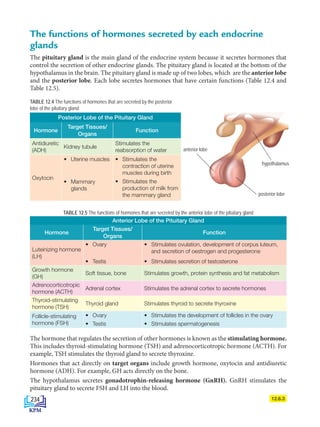 TABLE 12.4 The functions of hormones that are secreted by the posterior
lobe of the pituitary gland
The functions of hormones secreted by each endocrine
glands
The pituitary gland is the main gland of the endocrine system because it secretes hormones that
control the secretion of other endocrine glands. The pituitary gland is located at the bottom of the
hypothalamus in the brain. The pituitary gland is made up of two lobes, which are the anterior lobe
and the posterior lobe. Each lobe secretes hormones that have certain functions (Table 12.4 and
Table 12.5).
12.6.3
TABLE 12.5 The functions of hormones that are secreted by the anterior lobe of the pituitary gland
Anterior Lobe of the Pituitary Gland
Hormone
Target Tissues/
Organs
Function
Luteinizing hormone
(LH)
• Ovary • Stimulates ovulation, development of corpus luteum,
and secretion of oestrogen and progesterone
• Testis • Stimulates secretion of testosterone
Growth hormone
(GH)
Soft tissue, bone Stimulates growth, protein synthesis and fat metabolism
Adrenocorticotropic
hormone (ACTH)
Adrenal cortex Stimulates the adrenal cortex to secrete hormones
Thyroid-stimulating
hormone (TSH)
Thyroid gland Stimulates thyroid to secrete thyroxine
Follicle-stimulating
hormone (FSH)
• Ovary • Stimulates the development of follicles in the ovary
• Testis • Stimulates spermatogenesis
Posterior Lobe of the Pituitary Gland
Hormone
Target Tissues/
Organs
Function
Antidiuretic
(ADH)
Kidney tubule
Stimulates the
reabsorption of water
Oxytocin
• Uterine muscles
• Mammary
glands
• Stimulates the
contraction of uterine
muscles during birth
• Stimulates the
production of milk from
the mammary gland
hypothalamus
anterior lobe
posterior lobe
The hormone that regulates the secretion of other hormones is known as the stimulating hormone.
This includes thyroid-stimulating hormone (TSH) and adrenocorticotropic hormone (ACTH). For
example, TSH stimulates the thyroid gland to secrete thyroxine.
Hormones that act directly on target organs include growth hormone, oxytocin and antidiuretic
hormone (ADH). For example, GH acts directly on the bone.
The hypothalamus secretes gonadotrophin-releasing hormone (GnRH). GnRH stimulates the
pituitary gland to secrete FSH and LH into the blood.
234
BioT4(6th)-B12-FA-EN New 6th.indd 234 1/9/2020 11:58:20 AM
 