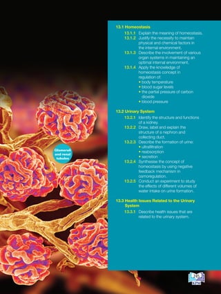 13.1 Homeostasis
13.1.1 Explain the meaning of homeostasis.
13.1.2 Justify the necessity to maintain
physical and chemical factors in
the internal environment.
13.1.3 Describe the involvement of various
organ systems in maintaining an
optimal internal environment.
13.1.4 Apply the knowledge of
homeostasis concept in
regulation of:
		 • body temperature
		 • blood sugar levels
		 • 
the partial pressure of carbon
dioxide
		 • blood pressure
13.2 Urinary System
13.2.1 Identify the structure and functions
of a kidney.
13.2.2 Draw, label and explain the
structure of a nephron and
collecting duct.
13.2.3 Describe the formation of urine:
		 • ultrafiltration
		 • reabsorption
		 • secretion
13.2.4 Synthesise the concept of
homeostasis by using negative
feedback mechanism in
osmoregulation.
13.2.5 Conduct an experiment to study
the effects of different volumes of
water intake on urine formation.
13.3 
Health Issues Related to the Urinary
System
13.3.1 Describe health issues that are
related to the urinary system.
Glomeruli
and renal
tubules
245
DLP_Biology_F4 (Loo)_13_7PP.indd 245 11/12/19 7:10 PM
 