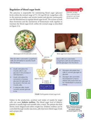 Regulation of blood sugar levels
The pancreas is responsible for maintaining blood sugar (glucose)
levels within the normal range of 75–110 mg/100 ml. Langerhans cells
in the pancreas produce and secrete insulin and glucose continuously
into the bloodstream to regulate blood sugar levels. The actions of both
these hormones and the mechanism of homeostasis work together to
maintain the blood sugar levels within the normal range as described
in Figure 13.4.
FIGURE 13.4 Regulation of blood sugar levels
Failure in the production, secretion and intake of insulin by target
cells can cause diabetes mellitus. The blood sugar level of diabetic
patients is usually high and unstable after a meal. The patient also feels
thirsty, tired, fatigued and suffers weight loss. Diabetes mellitus can be
controlled through insulin injections, pills that lower blood sugar levels
and a proper diet.
Scientific studies
have confirmed that
cinnamon can lower
blood sugar levels.
Malaysian Innovation
13.1.4
ICT 13.1
Video: Regulating blood sugar
levels in normal individuals
and diabetic patients
(Accessed August 21 2019)
• Insulin stimulates the
muscle cells to use
glucose in the process of
cell respiration.
• Insulin stimulates the
conversion of excess
glucose into glycogen to
be stored in the liver and
muscle cells.
• In adipose cells, insulin
converts excess glucose
to fat.
• Glucagon stimulates liver
cells to convert glycogen to
glucose.
• Glucagon also promotes
the breakdown of fat to
release fatty acids that can
be metabolised to produce
energy.
Alpha cells (α) in pancreatic
Langerhans cells are stimulated to
secrete glucagon into the blood.
Beta (β) cells in pancreatic Langerhans
cells are stimulated to secrete insulin
into the blood.
Blood sugar levels drop (in between meals)
pancreas
negative
feedback
adipose cells
liver
Blood sugar levels
go back to normal
Blood sugar levels increase (after a meal)
249
CHAPTER
13
DLP_Biology_F4 (Loo)_13_7PP.indd 249 11/12/19 7:10 PM
 