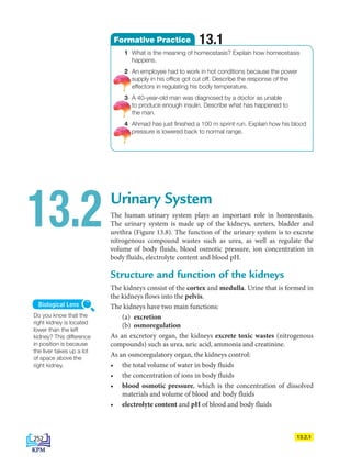 Urinary System
The human urinary system plays an important role in homeostasis.
The urinary system is made up of the kidneys, ureters, bladder and
urethra (Figure 13.8). The function of the urinary system is to excrete
nitrogenous compound wastes such as urea, as well as regulate the
volume of body fluids, blood osmotic pressure, ion concentration in
body fluids, electrolyte content and blood pH.
Structure and function of the kidneys
The kidneys consist of the cortex and medulla. Urine that is formed in
the kidneys flows into the pelvis.
The kidneys have two main functions:
(a) excretion
(b) osmoregulation
As an excretory organ, the kidneys excrete toxic wastes (nitrogenous
compounds) such as urea, uric acid, ammonia and creatinine.
As an osmoregulatory organ, the kidneys control:
• the total volume of water in body fluids
• the concentration of ions in body fluids
• blood osmotic pressure, which is the concentration of dissolved
materials and volume of blood and body fluids
• electrolyte content and pH of blood and body fluids
13.2
Do you know that the
right kidney is located
lower than the left
kidney? This difference
in position is because
the liver takes up a lot
of space above the
right kidney.
Biological Lens
13.2.1
1 What is the meaning of homeostasis? Explain how homeostasis
happens.
2 An employee had to work in hot conditions because the power
supply in his office got cut off. Describe the response of the
effectors in regulating his body temperature.
3 A 40-year-old man was diagnosed by a doctor as unable
to produce enough insulin. Describe what has happened to
the man.
4 Ahmad has just finished a 100 m sprint run. Explain how his blood
pressure is lowered back to normal range.
13.1
Formative Practice
252
DLP_Biology_F4 (Loo)_13_7PP.indd 252 11/12/19 7:10 PM
 