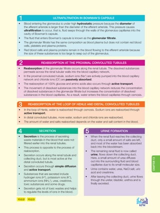 13.2.2 13.2.3
• In the loop of Henle, water is reabsorbed through osmosis. Sodium ions are reabsorbed through
active transport.
• In distal convoluted tubules, more water, sodium and chloride ions are reabsorbed.
• The amount of water and salts reabsorbed depends on the water and salt content in the blood.
REABSORPTION AT THE LOOP OF HENLE AND DISTAL CONVOLUTED TUBULES
3
• Secretion is the process of secreting
waste materials in the blood that were not
filtered earlier into the renal tubules.
• This process is opposite to the process of
reabsorption.
• Secretion occurs along the renal tubule and
collecting duct, but is most active at the
distal convoluted tubule.
• Secretion occurs through simple diffusion
and active transport.
• Substances that are secreted include
hydrogen ions (H+
), potassium ions (K+
),
ammonium ions (NH4
+
), urea, creatinine,
toxic substances and some drugs.
• Secretion gets rid of toxic wastes and helps
to regulate the levels of ions in the blood.
SECRETION
4
• When the renal fluid reaches the collecting
duct, only a small amount of salts are left,
and most of the water has been absorbed
back into the bloodstream.
• The remaining renal fluid is now called
urine, flows down the collecting duct.
Here, a small amount of urea diffuses
out into the surrounding fluid and blood
capillaries due to its small molecular size.
• Urine contains water, urea, NaCl salt, uric
acid and creatinine.
• After leaving the collecting duct, urine flows
through the ureter, bladder, urethra and is
finally excreted.
URINE FORMATION
5
• Blood entering the glomerulus is under high hydrostatic pressure because the diameter of
the afferent arteriole is larger than the diameter of the efferent arteriole. This pressure causes
ultrafiltration to occur, that is, fluid seeps through the walls of the glomerulus capillaries into the
cavity of Bowman’s capsule.
• The fluid that enters Bowman’s capsule is known as the glomerular filtrate.
• The glomerular filtrate has the same composition as blood plasma but does not contain red blood
cells, platelets and plasma proteins.
• Red blood cells and plasma proteins remain in the blood flowing to the efferent arteriole because
the size of these substances is too large to seep out of the glomerulus.
• Reabsorption of the glomerular filtrate occurs along the renal tubule. The dissolved substances
permeate across the renal tubular walls into the blood capillary network.
• In the proximal convoluted tubule, sodium ions (Na+
) are actively pumped into the blood capillary
network and chloride ions (Cl–
) are passively absorbed.
• The reabsorption of 100% glucose and amino acids also occurs through active transport.
• The movement of dissolved substances into the blood capillary network reduces the concentration
of dissolved substances in the glomerular filtrate but increases the concentration of dissolved
substances in the blood capillaries. As a result, water enters the blood capillaries through osmosis.
REABSORPTION AT THE PROXIMAL CONVOLUTED TUBULES
2
ULTRAFILTRATION IN BOWMAN’S CAPSULE
1
255
CHAPTER
13
DLP_Biology_F4 (Loo)_13_7PP.indd 255 11/12/19 7:10 PM
 