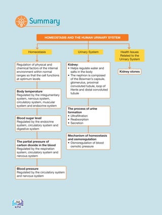 HOMEOSTASIS AND THE HUMAN URINARY SYSTEM
Kidney stones
Homeostasis Urinary System Health Issues
Related to the
Urinary System
Summary
Body temperature
Regulated by the integumentary
system, nervous system,
circulatory system, muscular
system and endocrine system
The partial pressure of
carbon dioxide in the blood
Regulated by the respiration
system, circulatory system and
nervous system
Blood pressure
Regulated by the circulatory system
and nervous system
Blood sugar level
Regulated by the endocrine
system, circulatory system and
digestive system
Regulation of physical and
chemical factors of the internal
environment within normal
ranges so that the cell functions
at optimum levels
Kidney:
• Helps regulate water and
salts in the body
• The nephron is composed
of the Bowman’s capsule,
glomerulus, proximal
convoluted tubule, loop of
Henle and distal convoluted
tubule
The process of urine
formation
• Ultrafiltration
• Reabsorption
• Secretion
Mechanism of homeostasis
and osmoregulation
• Osmoregulation of blood
osmotic pressure
260
DLP_Biology_F4 (Loo)_13_7PP.indd 260 11/12/19 7:10 PM
 