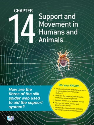 How are the
fibres of the silk
spider web used
to aid the support
system?
Supportand
Movementin
Humansand
Animals
14
CHAPTER
• What are the types and characteristics
of bones that form the human
skeleton?
• What are the types of joints found in
the human skeletal system?
• How do human arms and legs move?
• How do fish, birds, worms and
grasshoppers move?
• What are the health issues related to
the human musculoskeletal system?
Do you KNOW…
264
DLP_Biology_F4_14_(Loo)_9PP.indd 264 11/12/19 7:17 PM
 