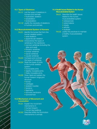 14.1 Types of Skeletons
14.1.1 List the types of skeletons in
humans and animals:
		 • hydrostatic skeleton
		 • exoskeleton
		 • endoskeleton
14.1.2 Justify the necessity of skeletons
in humans and animals.
14.2 Musculoskeletal System of Humans
14.2.1 Identify the bones that form the
human skeletal system:
		 • axial skeleton
		 • appendicular skeleton
14.2.2 Characterise the types of
vertebrae in the backbone:
		 • 
cervical vertebrae (including the
atlas and axial)
		 • thoracic vertebrae
		 • lumbar vertebrae
		 • sacral vertebrae
		 • caudal vertebrae
14.2.3 Compare and contrast
the types of vertebrae.
14.2.4 State the types of joints
in the human skeletal
system:
		 • immovable joints
		 • slightly moveable joints
		 • freely moveable joints
14.2.5 Draw, label and explain the
human forearm hinge joint
structure:
		 • bones
		 • cartilages
		 • skeletal muscles
		 • tendons
		 • ligaments
		 • synovial membrane
		 • synovial fluid
14.3 
Mechanism of Movement and
Locomotion
14.3.1 Explain the movement
mechanisms in:
		 • human forearm
		 • human leg (walking)
14.3.2 Describe briefly the locomotion
mechanisms in animals
14.4 
Health Issues Related to the Human
Musculoskeletal System
14.4.1 Describe the health issues
related to the human
musculoskeletal system:
		 • osteoporosis
		 • osteomalacia
		 • rickets
		 • arthritis
		 • scoliosis
14.4.2 Justify the practices to maintain
a healthy musculoskeletal
system.
265
DLP_Biology_F4_14_(Loo)_9PP.indd 265 11/12/19 7:17 PM
 