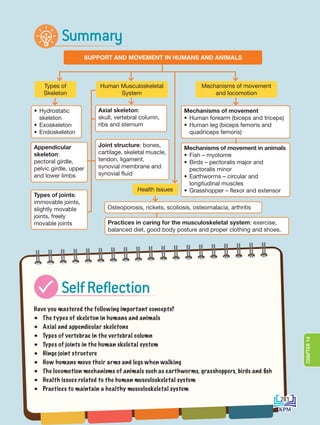 Have you mastered the following important concepts?
• The types of skeleton in humans and animals
• Axial and appendicular skeletons
• Types of vertebrae in the vertebral column
• Types of joints in the human skeletal system
• Hinge joint structure
• How humans move their arms and legs when walking
• The locomotion mechanisms of animals such as earthworms, grasshoppers, birds and fish
• Health issues related to the human musculoskeletal system
• Practices to maintain a healthy musculoskeletal system
Types of
Skeleton
Human Musculoskeletal
System
Mechanisms of movement
and locomotion
SUPPORT AND MOVEMENT IN HUMANS AND ANIMALS
• Hydrostatic
skeleton
• Exoskeleton
• Endoskeleton
Mechanisms of movement
• Human forearm (biceps and triceps)
• Human leg (biceps femoris and
quadriceps femoris)
Mechanisms of movement in animals
• Fish – myotome
• Birds – pectoralis major and
pectoralis minor
• Earthworms – circular and
longitudinal muscles
• Grasshopper – flexor and extensor
Practices in caring for the musculoskeletal system: exercise,
balanced diet, good body posture and proper clothing and shoes.
Axial skeleton:
skull, vertebral column,
ribs and sternum
Appendicular
skeleton:
pectoral girdle,
pelvic girdle, upper
and lower limbs
Types of joints:
immovable joints,
slightly movable
joints, freely
movable joints
Joint structure: bones,
cartilage, skeletal muscle,
tendon, ligament,
synovial membrane and
synovial fluid
Summary
SelfReflection
Health Issues
Osteoporosis, rickets, scoliosis, osteomalacia, arthritis
281
CHAPTER
14
DLP_Biology_F4_14_(Loo)_9PP.indd 281 11/12/19 7:17 PM
 