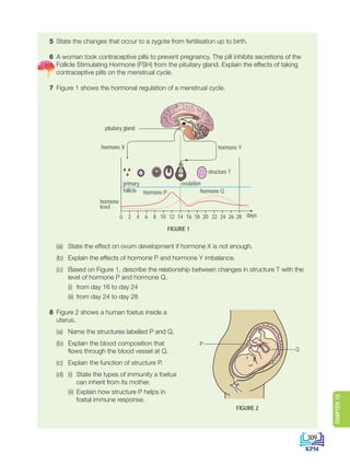 5 State the changes that occur to a zygote from fertilisation up to birth.
6 A woman took contraceptive pills to prevent pregnancy. The pill inhibits secretions of the
Follicle Stimulating Hormone (FSH) from the pituitary gland. Explain the effects of taking
contraceptive pills on the menstrual cycle.
7 Figure 1 shows the hormonal regulation of a menstrual cycle.
hormone X hormone Y
hormone P hormone Q
ovulation
structure T
primary
follicle
hormone
level
days
0 2 4 6 8 10 12 14 16 18 20 22 24 26 28
pituitary gland
FIGURE 1
		 (a) State the effect on ovum development if hormone X is not enough.
		 (b) Explain the effects of hormone P and hormone Y imbalance.
		 (c) Based on Figure 1, describe the relationship between changes in structure T with the
level of hormone P and hormone Q.
			 (i) from day 16 to day 24
			 (ii) from day 24 to day 28
8 Figure 2 shows a human foetus inside a
uterus.
		 (a) Name the structures labelled P and Q.
		 (b) Explain the blood composition that
flows through the blood vessel at Q.
		 (c) Explain the function of structure P.
(d) (i)	
State the types of immunity a foetus
can inherit from its mother.
			 (ii)	
Explain how structure P helps in
foetal immune response.
FIGURE 2
P
Q
309
CHAPTER
15
DLP_Biology_F4_15_(Loo)_9PP.indd 309 11/13/19 11:48 AM
 