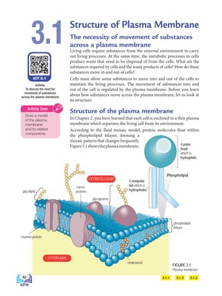 glycolipid
phospholipid
bilayer
carrier
proteins
CYTOPLASM
EXTRACELLULAR
glycoprotein
channel protein
cholesterol
A nonpolar
tail which is
hydrophobic
A polar
head
which is
hydrophilic
Structure of Plasma Membrane
The necessity of movement of substances
across a plasma membrane
Living cells require substances from the external environment to carry
out living processes. At the same time, the metabolic processes in cells
produce waste that need to be disposed of from the cells. What are the
substances required by cells and the waste products of cells? How do these
substances move in and out of cells?
Cells must allow some substances to move into and out of the cells to
maintain the living processes. The movement of substances into and
out of the cell is regulated by the plasma membrane. Before you learn
about how substances move across the plasma membrane, let us look at
its structure.
Structure of the plasma membrane
In Chapter 2, you have learned that each cell is enclosed in a thin plasma
membrane which separates the living cell from its environment.
According to the fluid mosaic model, protein molecules float within
the phospholipid bilayer, forming a
mosaic pattern that changes frequently.
Figure3.1showstheplasmamembrane.
3.1
ICT 3.1
Activity:
To discuss the need for
movement of substances
across the plasma membrane
3.1.2
3.1.1 3.1.3
Draw a model
of the plasma
membrane
and its related
components.
Activity Zone
FIGURE 3.1
Plasma membrane
Phospholipid
46
BioT4(7th)-B3-FA_EN New 8th.indd 46 1/9/2020 12:14:59 PM
 