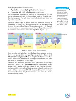 Each phospholipid molecule consists of:
• A polar head which is hydrophilic (attracted to water)
• A nonpolar tail which is hydrophobic (repels water)
The heads of the phospholipid molecule in the outer layer face the
extracellular fluid, whereas the phospholipid heads in the inner layer
face the cytoplasm. The tails of the phospholipid molecule of the two
layers face each other.
There are various types of protein molecules embedded partially or
fully within the membrane. The protein molecules are widely dispersed
between the phospholipid bilayer. The protein molecules with channels
or canals are known as channel proteins, whereas the protein molecules
that function as carriers are called carrier proteins (Figure 3.2).
3.1.3
3.1.2
Some proteins and lipids have carbohydrate chains attached to them,
known as glycoprotein and glycolipid respectively (Figure 3.1).
Glycoprotein and glycolipid act as receptors to hormones such as
insulin, stabilise the membrane by forming hydrogen bonds with water
and act as antigens for cell identification.
There are also cholesterol molecules found between the phospholipid
molecules (Figure 3.1). Cholesterols make the phospholipid bilayer
stronger, more flexible and less permeable to water-soluble substances
such as ions. The phospholipid bilayer, proteins and cholesterols are not
static but form a dynamic and flexible structure. This contributes to the
‘fluid’ characteristic of the plasma membrane and makes the plasma
membrane more flexible.
FIGURE 3.2 Models of channel and carrier proteins
molecule
Extracellular Extracellular
molecule
pore
channel protein carrier protein
Cytoplasm Cytoplasm
There were many
plasma membrane
models proposed by
scientists. However,
the fluid mosaic
model proposed by
S. J. Singer and G. L.
Nicholson in 1972 is
the accepted model
by scientists today.
Biological Lens
47
CHAPTER
3
BioT4(7th)-B3-FA_EN New 8th.indd 47 1/9/2020 12:15:00 PM
 
