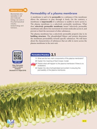 Permeability of a plasma membrane
A membrane is said to be permeable to a substance if the membrane
allows the substance to pass through it freely. On the contrary, a
membrane is impermeable if a substance is unable to move across it.
The plasma membrane is a selectively permeable membrane. What
does selectively permeable membrane mean? Selectively permeable
membrane only allows free movement of certain molecules across it, and
prevent or limit the movement of other substances.
The plasma membrane has a selectively permeable property due to its
building structure. The phospholipid bilayer and protein determine
the membrane permeability towards specific substances. We will learn
about the characteristics of substances that are able to move across the
plasma membrane in the next unit.
ICT 3.2
Video: Fluid mosaic
model of a plasma
membrane
3.1.4
Biochemists who
specialise in cell
and molecular
biology can work in
the pharmaceutical
industry,
biotechnology and
forensics.
Millennial Career
3.1
Formative Practice
1 What are the two main components of the plasma membrane?
2 Explain the meaning of fluid mosaic model.
3 Predict what will happen to the plasma membrane if there is no
cholesterol.
4 Explain the role of phospholipid and protein in ensuring the
permeability of the plasma membrane.
(Accessed on 21 August 2019)
48
BioT4(7th)-B3-FA_EN New 8th.indd 48 1/9/2020 12:15:04 PM
 