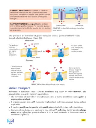 3.2.3
CHANNEL PROTEINS form channels or canals to
allow small-sized solutes and ions to diffuse across
the plasma membrane. Channels have specific internal
characteristics that only allow specific ions to pass
through it.
CARRIER PROTEINS have specific sites and can
only bind to a specific molecule. For example, glucose
molecules can only bind to the specific site of a glucose
carrier protein.
FIGURE 3.7 Facilitated diffusion through channel and
carrier proteins
Active transport
Movement of substances across a plasma membrane may occur by active transport. The
characteristics of an active transport are as follows:
• The movement of molecule or ion substances across a plasma membrane occurs against a
concentration gradient.
• It requires energy from ATP (adenosine triphosphate) molecules generated during cellular
respiration.
• It requires specific carrier protein with specific sites to bind with certain molecules or ions.
• Carrier proteins also possess receptors to bind with ATP molecules. Carrier proteins change
shape when a phosphate group attaches to it. As a result, molecules or ions move across a
membrane (Figure 3.9).
glucose
specific site
carrier protein
Extracellular
glucose
concentrations
are higher
than in
cytoplasm.
Carrier proteins
return to their
original shape
and are ready to
transport other
molecules.
Glucose binds
with the specific
site of the
carrier proteins.
Carrier proteins
change shape to
allow glucose
molecules to pass
through the carrier
proteins and to enter
the cell.
Extracellular
Cytoplasm
FIGURE 3.8 Facilitated diffusion through carrier proteins
channel protein carrier protein
channel protein
glucose
carrier protein
ion
The process of the movement of glucose molecules across a plasma membrane occurs
through a facilitated diffusion (Figure 3.8).
54
BioT4(7th)-B3-FA_EN New 8th.indd 54 1/9/2020 12:15:06 PM
 