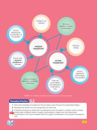 PASSIVE
TRANSPORT
ACTIVE
TRANSPORT
Energy is not
required
Occurs
following the
concentration of
the gradient
Occurs until
a dynamic
equilibrium is
achieved
Requires
energy
Occurs
against the
concentration
of the gradient
There are
accumulation
and disposal of
molecules or
ions
Moving a
substance across
a membrane
FIGURE 3.11 Similarities and differences between passive and active transports
3.2.4
Occurs through a
selectively permeable
membrane
1 Give some examples of substances that are able to pass through the phospholipid bilayer.
2 Describe how sodium ions are transported out of the cell.
3 A scientist conducts an experiment by soaking the roots of a plant in a solution which contains
mineral salts at different levels of oxygen concentrations. Explain why the mineral salts
concentration in the roots increased when the oxygen concentration in the solution increases by
10%.
3.2
Formative Practice
56
BioT4(7th)-B3-FA_EN New 8th.indd 56 1/9/2020 12:15:07 PM
 