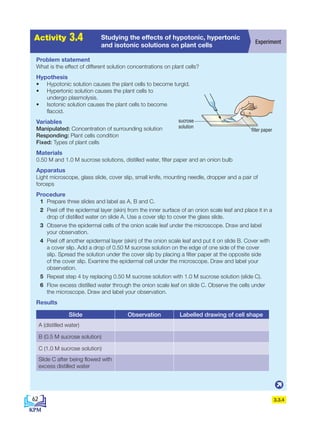 Problem statement
What is the effect of different solution concentrations on plant cells?
Hypothesis
• Hypotonic solution causes the plant cells to become turgid.
• Hypertonic solution causes the plant cells to
undergo plasmolysis.
• Isotonic solution causes the plant cells to become
flaccid.
Variables
Manipulated: Concentration of surrounding solution
Responding: Plant cells condition
Fixed: Types of plant cells
Materials
0.50 M and 1.0 M sucrose solutions, distilled water, filter paper and an onion bulb
Apparatus
Light microscope, glass slide, cover slip, small knife, mounting needle, dropper and a pair of
forceps
Procedure
1 Prepare three slides and label as A, B and C.
2 Peel off the epidermal layer (skin) from the inner surface of an onion scale leaf and place it in a
drop of distilled water on slide A. Use a cover slip to cover the glass slide.
3 Observe the epidermal cells of the onion scale leaf under the microscope. Draw and label
your observation.
4 Peel off another epidermal layer (skin) of the onion scale leaf and put it on slide B. Cover with
a cover slip. Add a drop of 0.50 M sucrose solution on the edge of one side of the cover
slip. Spread the solution under the cover slip by placing a filter paper at the opposite side
of the cover slip. Examine the epidermal cell under the microscope. Draw and label your
observation.
5 Repeat step 4 by replacing 0.50 M sucrose solution with 1.0 M sucrose solution (slide C).
6 Flow excess distilled water through the onion scale leaf on slide C. Observe the cells under
the microscope. Draw and label your observation.
Results
Slide Observation Labelled drawing of cell shape
A (distilled water)
B (0.5 M sucrose solution)
C (1.0 M sucrose solution)
Slide C after being flowed with
excess distilled water
A
c
t
i
v
i
t
i
e
s
2
.
1
Activity 3.4 Experiment
Studying the effects of hypotonic, hypertonic
and isotonic solutions on plant cells
3.3.4
sucrose
solution
filter paper
62
BioT4(7th)-B3-FA_EN New 8th.indd 62 1/9/2020 12:15:14 PM
 