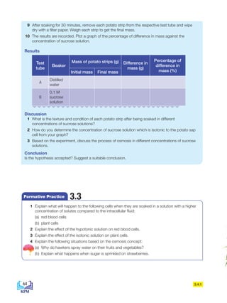 9 After soaking for 30 minutes, remove each potato strip from the respective test tube and wipe
dry with a filter paper. Weigh each strip to get the final mass.
10 The results are recorded. Plot a graph of the percentage of difference in mass against the
concentration of sucrose solution.
Results
Test
tube
Beaker
Mass of potato strips (g) Difference in
mass (g)
Percentage of
difference in
mass (%)
Initial mass Final mass
A
Distilled
water
B
0.1 M
sucrose
solution
Discussion
1 What is the texture and condition of each potato strip after being soaked in different
concentrations of sucrose solutions?
2 How do you determine the concentration of sucrose solution which is isotonic to the potato sap
cell from your graph?
3 Based on the experiment, discuss the process of osmosis in different concentrations of sucrose
solutions.
Conclusion
Is the hypothesis accepted? Suggest a suitable conclusion.
3.4.1
1 Explain what will happen to the following cells when they are soaked in a solution with a higher
concentration of solutes compared to the intracellular fluid:
		 (a) red blood cells
		 (b) plant cells
2 Explain the effect of the hypotonic solution on red blood cells.
3 Explain the effect of the isotonic solution on plant cells.
4 Explain the following situations based on the osmosis concept:
		 (a) Why do hawkers spray water on their fruits and vegetables?
		 (b) Explain what happens when sugar is sprinkled on strawberries.
3.3
Formative Practice
64
BioT4(7th)-B3-FA_EN New 8th.indd 64 1/9/2020 12:15:14 PM
 