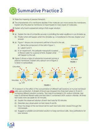 1 State the meaning of passive transport.
2 The characteristic of a membrane decides if the molecule can move across the membrane.
Explain why the plasma membrane is impermeable to many types of molecules.
3 Explain why food is preserved using a thick sugar solution.
4 (a) Explain the role of contractile vacuole in controlling the water equilibrum in an Amoeba sp.
		 (b) Predict what will happen when the Amoeba sp. is transferred to the sea. Explain your
answer.
5 (a) Figure 1 shows one component cell that is found in the cell.
			 (i) Name the component of the cell in Figure 1.
			 (ii) Label X and Y.
		 (b) In an experiment, the palisade mesophyll is soaked
in filtered water for a period of time. Explain what
will happen to the cell.
6 Figure 2 shows a type of substance movement across a
plasma membrane. Explain why calcium ion in Figure 2
is taken to extracellular.
7 A research on the effect of the concentration of different salt solutions on human red blood
cells was conducted. A droplet of blood was dropped into three test tubes A, B and C
containing different solution contents. Test tube A contained 4.5% sodium chloride, test
tube B contained filtered water and test tube C contained 0.85% sodium chloride. All three
test tubes were set aside for 30 minutes.
		 (a) Explain the observed solution of each test tube for 30 minutes.
		 (b) Describe your observation on test tubes A and B.
		 (c) Draw the shape of the red blood cell for each test tube when viewed through the
microscope.
		 (d) Suggest a suitable concentrated solution to keep red blood cells. Give justifications for
your answer.
Summative Practice 3
X:
Y:
Extracellular
Intracellular
X
Y
FIGURE 1
FIGURE 2
Extracellular
Intracellular
Ca2+ P
ATP
ADP
ATP site
68
BioT4(7th)-B3-FA_EN New 8th.indd 68 1/9/2020 12:15:21 PM
 