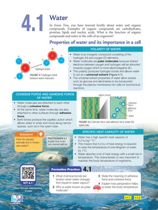 Water
In Form Two, you have learned briefly about water and organic
compounds. Examples of organic compounds are carbohydrates,
proteins, lipids and nucleic acids. What is the function of organic
compounds and water in the cells of an organism?
Properties of water and its importance in a cell
4.1
FIGURE 4.2 Cohesive force and adhesive force inside the
xylem tube
4.1.1 4.1.2
H
H
H
H
O
O hydrogen bond
• Water is an inorganic compound consisting of the
hydrogen (H) and oxygen (O) elements.
• Water molecules are polar molecules because shared
electrons between oxygen and hydrogen will be attracted
towards oxygen which is more electronegative (δ–
).
• This polarity produces hydrogen bonds and allows water
to act as a universal solvent (Figure 4.1).
• The universal solvent properties of water allow solutes
such as glucose and electrolytes to be transported
through the plasma membranes into cells for biochemical
reactions.
• Water molecules are attached to each other
through a cohesive force.
• At the same time, water molecules are also
attached to other surfaces through adhesive
force.
• Both forces produce the capillary action which
allows water to enter and move along narrow
spaces, such as in the xylem tube.
• Water has a high specific heat capacity of
4.2 kJ kg-1
°C-1
.
• This means that 4.2 kJ of heat energy is required
to raise the temperature of one kilogram of water
by 1°C.
• Water absorbs a lot of heat energy with a small rise in
temperature. This characteristic is very important to
maintain the body temperature of organisms.
POLARITY OF WATER
COHESIVE FORCE AND ADHESIVE FORCE
OF WATER
SPECIFIC HEAT CAPACITY OF WATER
FIGURE 4.1 Hydrogen bond
between water molecules
xylem vessel
water
adhesive
force
cohesive
force
1 What chemical bonds are
broken when water changes
from liquid to water vapour?
2 Why is water known as polar
molecule?
3 State the meaning of adhesive
force and cohesive force.
4 Explain how perspiration helps
to lower the body temperature.
4.1
Formative Practice
ICT 4.1
Quiz: Test your understanding
of water
How do aquatic
animals live in frozen
sea water?
Brainstorm!
PHOTOGRAPH 4.1
A polar bear in the
sea covered with ice
72
BioT4(7th)-B4-FA_EN New 6th.indd 72 1/9/2020 12:13:26 PM
 