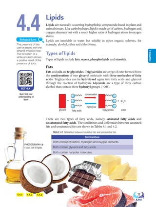 4.4
+
triglycerides water
glycerol fatty acids
hydrolysis
condensation
+ 3H2
O
4.4.3
4.4.2
4.4.1
PHOTOGRAPH 4.6
Foods rich in lipids
Lipids
Lipids are naturally occurring hydrophobic compounds found in plant and
animal tissues. Like carbohydrates, lipid is made up of carbon, hydrogen and
oxygen elements but with a much higher ratio of hydrogen atoms to oxygen
atoms.
Lipids are insoluble in water but soluble in other organic solvents, for
example, alcohol, ether and chloroform.
Types of lipids
Types of lipids include fats, waxes, phospholipids and steroids.
Fats
Fats and oils are triglycerides. Triglycerides are a type of ester formed from
the condensation of one glycerol molecule with three molecules of fatty
acids. Triglycerides can be hydrolysed again into fatty acids and glycerol
through the reaction of hydrolysis. Glycerols are a type of three carbon
alcohol that contain three hydroxyl groups (–OH).
There are two types of fatty acids, namely saturated fatty acids and
unsaturated fatty acids. The similarities and differences between saturated
fats and unsaturated fats are shown in Tables 4.1 and 4.2.
The presence of fats
can be tested with the
ethanol emulsion test.
The formation of a
white emulsion shows
a positive result of the
presence of lipids.
Biological Lens
TABLE 4.1 Similarities between saturated fats and unsaturated fats
Similarities
Both consist of carbon, hydrogen and oxygen elements.
Both contain glycerol and fatty acids.
Both contain nonpolar molecules.
ICT 4.4
Quiz: Test your
understanding of
lipids
77
CHAPTER
4
BioT4(7th)-B4-FA_EN New 6th.indd 77 1/9/2020 12:13:30 PM
 