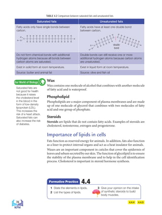 Wax
Wax contains one molecule of alcohol that combines with another molecule
of fatty acid and is waterproof.
Phospholipid
Phospholipids are a major component of plasma membranes and are made
up of one molecule of glycerol that combines with two molecules of fatty
acid and one group of phosphate.
Steroids
Steroids are lipids that do not contain fatty acids. Examples of steroids are
cholesterol, testosterone, estrogen and progesterone.
Importance of lipids in cells
Fats function as reserved energy for animals. In addition, fats also function
as a liner to protect internal organs and act as a heat insulator for animals.
Waxes are an important component in cuticles that cover the epidermis of
leavesandsebumsecretedbyourskin.Thefunctionofglycolipidistoensure
the stability of the plasma membrane and to help in the cell identification
process. Cholesterol is important in steroid hormone synthesis.
4.4.5
Saturated fats are
not good for health
because it raises
the cholesterol level
in the blood in the
form of low-density
lipoprotein (LDL).
This increases the
risk of a heart attack.
Saturated fats can
also increase the risk
of diabetes.
Our World of Biology
Saturated fats Unsaturated fats
Fatty acids only have single bonds between
carbon.
Fatty acids have at least one double bond
between carbon.
Do not form chemical bonds with additional
hydrogen atoms because all bonds between
carbon atoms are saturated.
Double bonds can still receive one or more
additional hydrogen atoms because carbon atoms
are unsaturated.
Exist in solid form at room temperature. Exist in liquid form at room temperature.
Source: butter and animal fat Source: olive and fish oil
O
O
C C
H
H
H
–
–
–
=
C
H
H
– C
H
H
– C
H
H
– C
H
H
– C
H
H
– C
H
H
– C
H
H
– C
H
H
– C
H
H
– C
H
H
– C
H
H
– C
H
H
– C
H
H
– C
H
H
– H
–
O
O
C
H
–
–
–
=
C
H
C
H
H
C
H
H
–
C
H
H
–
–
– C
H
H
C
H
H
–
C
H
H
–
C
H
H
–
H
–
C
H
H
C
H
H
–
C
H
H
–
– C
H
H
C
H
H
–
C
H
H
–
C
H
–
=
O
O
C C
H
H
H
–
–
–
=
C
H
H
– C
H
H
– C
H
H
– C
H
H
– C
H
H
– C
H
H
– C
H
H
– C
H
H
– C
H
H
– C
H
H
– C
H
H
– C
H
H
– C
H
H
– C
H
H
– H
–
O
O
C
H
–
–
–
=
C
H
C
H
H
C
H
H
–
C
H
H
–
–
– C
H
H
C
H
H
–
C
H
H
–
C
H
H
–
H
–
C
H
H
C
H
H
–
C
H
H
–
– C
H
H
C
H
H
–
C
H
H
–
C
H
–
=
double
bond
TABLE 4.2 Comparison between saturated fats and unsaturated fats
1 State the elements in lipids.
2 List the types of lipids.
3 Give your opinion on the intake
of synthetic steroids to build
body muscles.
4.4
Formative Practice
4.4.4
78
BioT4(7th)-B4-FA_EN New 6th.indd 78 1/9/2020 12:13:30 PM
 