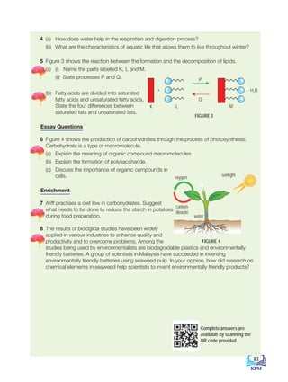 4 (a) How does water help in the respiration and digestion process?
		 (b) What are the characteristics of aquatic life that allows them to live throughout winter?
5 Figure 3 shows the reaction between the formation and the decomposition of lipids.
		 (a) (i) Name the parts labelled K, L and M.
			 (ii) State processes P and Q.
		 (b) Fatty acids are divided into saturated
fatty acids and unsaturated fatty acids.
State the four differences between
saturated fats and unsaturated fats.
Essay Questions
6 Figure 4 shows the production of carbohydrates through the process of photosynthesis.
Carbohydrate is a type of macromolecule.
		 (a) Explain the meaning of organic compound macromolecules.
		 (b) Explain the formation of polysaccharide.
		 (c) Discuss the importance of organic compounds in
cells.
Enrichment
7 Ariff practises a diet low in carbohydrates. Suggest
what needs to be done to reduce the starch in potatoes
during food preparation.
8 The results of biological studies have been widely
applied in various industries to enhance quality and
productivity and to overcome problems. Among the
studies being used by environmentalists are biodegradable plastics and environmentally
friendly batteries. A group of scientists in Malaysia have succeeded in inventing
environmentally friendly batteries using seaweed pulp. In your opinion, how did research on
chemical elements in seaweed help scientists to invent environmentally friendly products?
water
sunlight
oxygen
carbon
dioxide
FIGURE 4
FIGURE 3
K L
+
P
Q
M
+ H2
O
Complete answers are
available by scanning the
QR code provided
83
BioT4(7th)-B4-FA_EN New 6th.indd 83 1/9/2020 12:13:34 PM
 