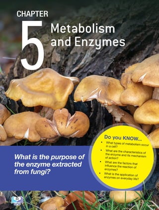 • What types of metabolism occur
in a cell?
• What are the characteristics of
the enzyme and its mechanism
of action?
• What are the factors that
influence the reaction of
enzymes?
• What is the application of
enzymes on everyday life?
Do you KNOW...
What is the purpose of
the enzyme extracted
from fungi?
Metabolism
and Enzymes
5
CHAPTER
84
BioT4(7th)-B5-FA_EN New 6th.indd 84 1/9/2020 12:16:52 PM
 