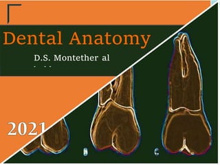 Dental Anatomy
D.S. Montether al
bakly
 