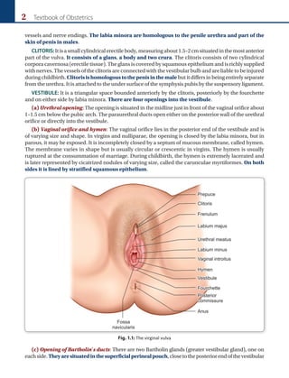 2 Textbook of Obstetrics
vessels and nerve endings. The labia minora are homologous to the penile urethra and part of the
skin of penis in males.
CLITORIS:Itisasmallcylindricalerectilebody,measuringabout1.5–2cmsituatedinthemostanterior
part of the vulva. It consists of a glans, a body and two crura. The clitoris consists of two cylindrical
corpora cavernosa (erectile tissue). The glans is covered by squamous epithelium and is richly supplied
with nerves. The vessels of the clitoris are connected with the vestibular bulb and are liable to be injured
during childbirth. Clitorisishomologoustothepenisinthemale but it differs in being entirely separate
from the urethra. It is attached to the under surface of the symphysis pubis by the suspensory ligament.
VESTIBULE: It is a triangular space bounded anteriorly by the clitoris, posteriorly by the fourchette
and on either side by labia minora. There are four openings into the vestibule.
(a) Urethral opening: The opening is situated in the midline just in front of the vaginal orifice about
1–1.5 cm below the pubic arch. The paraurethral ducts open either on the posterior wall of the urethral
orifice or directly into the vestibule.
(b) Vaginal orifice and hymen: The vaginal orifice lies in the posterior end of the vestibule and is
of varying size and shape. In virgins and nulliparae, the opening is closed by the labia minora, but in
parous, it may be exposed. It is incompletely closed by a septum of mucous membrane, called hymen.
The membrane varies in shape but is usually circular or crescentic in virgins. The hymen is usually
ruptured at the consummation of marriage. During childbirth, the hymen is extremely lacerated and
is later represented by cicatrized nodules of varying size, called the carunculae myrtiformes. On both
sides it is lined by stratified squamous epithelium.
(c) Opening of Bartholin’s ducts: There are two Bartholin glands (greater vestibular gland), one on
eachside.Theyaresituatedinthesuperficialperinealpouch,closetotheposteriorendofthevestibular
Fig. 1.1: The virginal vulva
 