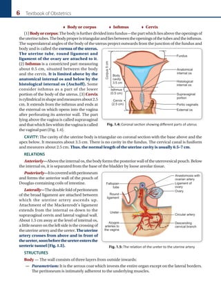 6 Textbook of Obstetrics
 Body or corpus     Isthmus    Cervix
(1)Bodyorcorpus:Thebodyisfurtherdividedintofundus—thepartwhichliesabovetheopeningsof
theuterinetubes.Thebodyproperistriangularandliesbetweentheopeningsofthetubesandtheisthmus.
The superolateral angles of the body of the uterus project outwards from the junction of the fundus and
body and is called the cornua of the uterus.
The uterine tube, round ligament and
ligament of the ovary are attached to it.
(2) Isthmus is a constricted part measuring
about 0.5 cm, situated between the body
and the cervix. It is limited above by the
anatomical internal os and below by the
histological internal os (Aschoff). Some
consider isthmus as a part of the lower
portion of the body of the uterus. (3) Cervix
iscylindricalinshapeandmeasuresabout2.5
cm. It extends from the isthmus and ends at
the external os which opens into the vagina
after perforating its anterior wall. The part
lying above the vagina is called supravaginal
and that which lies within the vagina is called
the vaginal part (Fig. 1.4).
CAVITY: The cavity of the uterine body is triangular on coronal section with the base above and the
apex below. It measures about 3.5 cm. There is no cavity in the fundus. The cervical canal is fusiform
and measures about 2.5 cm. Thus, the normal length of the uterine cavity is usually 6.5–7 cm.
RELATIONS
Anteriorly—Above the internal os, the body forms the posterior wall of the utero­vesical pouch. Below
the internal os, it is separated from the base of the bladder by loose areolar tissue.
Posteriorly—Itiscoveredwithperitoneum
and forms the anterior wall of the pouch of
Douglas containing coils of intestine.
Laterally—Thedoublefoldofperitoneum
of the broad ligament are attached between
which the uterine artery ascends up.
Attachment of the Mackenrodt’s ligament
extends from the internal os down to the
supravaginal cervix and lateral vaginal wall.
About 1.5 cm away at the level of internal os,
a little nearer on the left side is the crossing of
the uterine artery and the ureter. Theuterine
artery crosses from above and in front of
theureter,soonbeforetheureterentersthe
ureteric tunnel (Fig. 1.5).
STRUCTURES
Body — The wall consists of three layers from outside inwards:
— Parametrium: It is the serous coat which invests the entire organ except on the lateral borders.
The peritoneum is intimately adherent to the underlying muscles.
Fig. 1.5: The relation of the ureter to the uterine artery
Fig. 1.4: Coronal section showing different parts of uterus
 