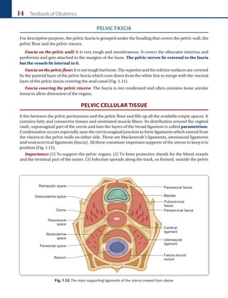 14 Textbook of Obstetrics
Fig. 1.12: The main supporting ligaments of the uterus viewed from above
PELVIC FASCIA
For descriptive purpose, the pelvic fascia is grouped under the heading that covers the pelvic wall, the
pelvic floor and the pelvic viscera.
Fascia on the pelvic wall: It is very tough and membranous. It covers the obturator internus and
pyriformis and gets attached to the margins of the bone. The pelvic nerves lie external to the fascia
but the vessels lie internal to it.
Fascia on the pelvic floor: It is not tough but loose. The superior and the inferior surfaces are covered
by the parietal layer of the pelvic fascia which runs down from the white line to merge with the visceral
layer of the pelvic fascia covering the anal canal (Fig. 1.11).
Fascia covering the pelvic viscera: The fascia is not condensed and often contains loose areolar
tissue to allow distension of the organs.
PELVIC CELLULAR TISSUE
It lies between the pelvic peritoneum and the pelvic floor and fills up all the available empty spaces. It
contains fatty and connective tissues and unstriated muscle fibers. Its distribution around the vaginal
vault, supravaginal part of the cervix and into the layers of the broad ligament is called parametrium.
Condensation occurs especially near the cervicovaginal junction to form ligaments which extend from
the viscera to the pelvic walls on either side. These are Mackenrodt’s ligaments, uterosacral ligaments
and vesicocervical ligaments (fascia). All these constitute important supports of the uterus to keep it in
position (Fig. 1.12).
Importance: (1) To support the pelvic organs. (2) To form protective sheath for the blood vessels
and the terminal part of the ureter. (3) Infection spreads along the track, so formed, outside the pelvis
 
