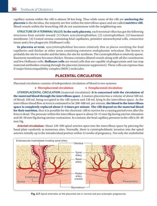 36 Textbook of Obstetrics
capillary system within the villi is almost 50 km long. Thus while some of the villi are anchoring the
placenta to the decidua, the majority are free within the intervillous space and are called nutritive villi.
Blood vessels within the branching villi do not anastomose with the neighboring one.
STRUCTURE OF ATERMINALVILLUS: In the early placenta, each terminal villus has got the following
structures from outside inward: (1) Outer syncytiotrophoblast; (2) cytotrophoblast; (3) basement
membrane; (4) Central stroma containing fetal capillaries, primitive mesenchymal cells, connective
tissue and a few phagocytic (Hofbauer) cells.
In placenta at term, syncytiotrophoblast becomes relatively thin at places overlying the fetal
capillaries and thicker at other areas containing extensive endoplasmic reticulum. The former is
probably the site for transfer and the latter, the site for synthesis.The cytotrophoblast is relatively sparse.
Basement membrane becomes thicker. Stroma contains dilated vessels along with all the constituents
and few Hofbauer cells. Hofbauer cells are round cells that are capable of phagocytosis and can trap
maternal antibodies crossing through the placenta (immune suppressive). These cells can express class
II major histocompatibility complex (MHC) molecules.
PLACENTAL CIRCULATION
Placental circulation consists of independent circulation of blood in two systems:
 Uteroplacental circulation     Fetoplacental circulation
UTEROPLACENTAL CIRCULATION (maternal circulation): It is concerned with the circulation of
the maternal blood through the intervillous space. A mature placenta has a volume of about 500 mL
of blood; 350 mL being occupied in the villi system and 150 mL lying in the intervillous space. As the
intervillous blood flow at term is estimated to be 500–600 mL per minute, the blood in the intervillous
space is completely replaced about 3–4 times per minute. The villi depend on the maternal blood
for their nutrition, thus it is possible for the chorionic villi to survive for a varying period even after the
fetus is dead. The pressure within the intervillous space is about 10–15 mm Hg during uterine relaxation
and 30–50 mm Hg during uterine contraction. In contrast, the fetal capillary pressure in the villi is 20–40
mm Hg.
Arterial circulation: About 120–200 spiral arteries open into the intervillous space by piercing the
basal plate randomly at numerous sites. Normally, there is cytotrophoblastic invasion into the spiral
arteries initially up to the intradecidual portion within 12 weeks of pregnancy. Not only the endothelial
Fig. 3.7: Spiral arterioles at the placental site in normal and pre-eclamptic pregnancies
 