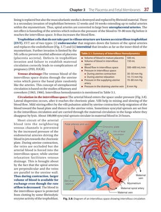 Chapter 3 The Placenta and Fetal Membranes 37
liningisreplacedbutalsothemusculoelasticmediaisdestroyedandreplacedbyfibrinoidmaterial.There
is a secondary invasion of trophoblast between 12 weeks and 16 weeks extending up to radial arteries
within the myometrium. Thus, spiral arteries are converted to large bore uteroplacental arteries. The
net effect is funneling of the arteries which reduces the pressure of the blood to 70–80 mm Hg before it
reaches the intervillous space. It thus increases the blood flow.
Trophoblast cells that do not take part in villous structure are known as extravillous trophoblast
(EVT). EVT are of two types: (i) endovascular that migrates down the lumen of the spiral arteries
and replaces the endothelium (Fig. 3.7) and (ii) interstitial that invades as far as the inner third of the
myometrium. Further invasion is limited by the
NK cells to prevent morbid adhesion of placenta
(placenta accreta). Defects in trophoblast
invasion and failure to establish maternal
circulation correctly leads to complications of
pregnancy (PIH, IUGR).
Venous drainage: The venous blood of the
intervillous space drains through the uterine
veins which pierce the basal plate randomly
like the arteries. This concept of uteroplacental
circulation is based on the studies of Ramsey and
coworkers (1963, 1966). Intervillous hemodynamics is mentioned in Table 3.1.
Circulation in the intervillous space:The arterial blood enters the space under pressure (Fig.3.8).
Lateral dispersion occurs, after it reaches the chorionic plate. Villi help in mixing and slowing of the
blood flow. Mild stirring effect by the villi pulsation aided by uterine contraction help migration of the
blood toward the basal plate and thence to the uterine veins. Sometimes syncytial sprouts are set free
in the intravillous circulation and are carried through the maternal circulation to the lungs where they
disappear by lysis. About 100,000 syncytial sprouts circulate in maternal blood in 24 hours.
Short circuit of the arterial
blood into the neighboring
venous channels is prevented
by the increased pressure of the
endometrial arteries driving the
blood in jets towards the chorionic
plate. During uterine contraction,
the veins are occluded but the
arterial blood is forced into the
intervillous space; while uterine
relaxation facilit­
ates venous
drainage. This is brought about
by the fact that the spiral arteries
are perpendicular and the veins
are parallel to the uterine wall.
Thus during contraction, larger
volume of blood is available for
exchange even though the rate
of flow is decreased. The blood in
the intervillous space is protected
from clotting by some fibrinolytic
enzyme activity of the trophoblast. Fig. 3.8: Diagram of an intervillous space showing intervillous circulation
Table 3.1: Summary of Intervillous Hemodynamics
„
„ Volume of blood in mature placenta
„
„ Volume of blood in intervillous
space
„
„ Blood flow in intervillous space
„
„ Pressure in intervillous space:
z
z During uterine contraction
z
z During uterine relaxation
„
„ Pressure in the supplying uterine
artery
„
„ Pressure in the draining uterine vein
500 mL
150 mL
500–600 mL/min
30–50 mm Hg
10–15 mm Hg
70–80 mm Hg
8 mm Hg
 