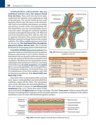 38 Textbook of Obstetrics
FETOPLACENTAL CIRCULATION: The two
umbilical arteries carry the impure blood
from the fetus. They enter the chorionic plate
underneath the amnion, each supplying one half
of the placenta. The arteries break up into small
branches which enter the stems of the chorionic
villi. Each in turn divides into primary, secondary
and tertiary vessels of the corresponding villi.
The blood flows into the corresponding venous
channels either through the terminal capillary
networks or through the shunts (Fig. 3.9). Maternal
and fetal bloodstreams flow side by side, but
in opposite direction. This countercurrent flow
facilitates material exchange between the mother
andfetus.Thevillouscapillarypressurevariesfrom
20–40 mm Hg. The fetal blood flow through the
placenta is about 400 mL/min. This is mainly
facilitated by the pumping action of the fetal heart.
PLACENTALBARRIER(placentalmembrane):Itis
a partition between fetal and maternal circ­ulation.
However, this barrier is not a perfect barrier as
fetal blood cells are found in maternal circul­
ation
so also the maternal blood cells are found in fetal
circulation.Theabovetwoare separated by tissues
called placental membrane or barrier, consisting
of the following. In early pregnancy, it consists
of (1) syncytiotrophoblast, (2) cytotrophoblast,
(3) basement membrane, (4) stromal tissue, and
(5) endothelium of the fetal capillary wall with
its basement membrane. It is about 0.025 mm
thick (Fig. 3.10).
Near term, there is attenuation of the syncytial
layer. Sparse cytotrophoblast and distended fetal
capillaries almost fill the villus. The specialized
zones of the villi where the syncytiotrophoblast is
thin and anuclear is known as vasculosyncytial
membrane (Fig. 3.11). These thin zones (0.002
mm) of terminal villi alpha zones are for gas exchange. The thick “beta zones” of the terminal villi with
the layers remaining thick in patches are for hormone synthesis. An increase in thickness of the villous
membrane is seen in cases with IUGR and cigarette smokers.
Table 3.2: Summary of Fetal Hemodynamics
„
„ Fetal blood flow
through the placenta
400 mL/min
„
„ Pressure in the
umbilical artery
60 mm Hg
„
„ Pressure in the
umbilical vein
10 mm Hg
„
„ Fetal capillary
pressure in villi
20–40 mm Hg
Umbilical
artery
Umbilical
vein
„
„ O2
saturation 50–60% 70–80%
„
„ PO2
20–25 mm Hg 30–40 mm Hg
Fig. 3.9: Schematic diagram showing terminal capillary
networks in the villi
Fig. 3.10: Schematic diagram showing layers of placental barrier
 