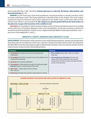 42 Textbook of Obstetrics
microscopically (Fig. 3.4B). Therefore human placenta is a discoid, deciduate, labyrinthine and
hemochorial type (p. 35).
AMNION: It is the inner layer of the fetal membranes. Its internal surface is smooth and shiny and is
in contact with liquor amnii. The lining epithelium is described later in the chapter. The outer surface
consists of a layer of connective tissue and is apposed to the similar tissue on the inner aspect of the
chorion from which it can be peeled off. The amnion can also be peeled off from the fetal surface of
the placenta except at the insertion of the umbilical cord.
Functions: (1) Contribute to the formation of liquor amnii; (2) Intact membranes prevent ascending
uterine infection; (3) Facilitate dilatation of the cervix during labor; (4) Has got enzymatic activities for
steroid hormonal metabolism; (5) Rich source of glycerophospholipids containing arachidonic acid —
precursor of prostaglandin E2
and F2α
.
AMNIOTIC CAVITY, AMNION AND AMNIOTIC FLUID
DEVELOPMENT:The formation of the amniotic cavity and its lining membrane, amnion has already been
described with the development of the inner cell mass. Fluid accumulates slowly at first, but ultimately
thefluid-filledcavitybecomeslargeenoughtoobliteratethechorioniccavity;theamnionandthechorion
come in loose contact by their mesenchymal layers.
Production Removal
„
„ Transudation of maternal serum across the placental
membranes

 Fetus swallows about 500–1,000 mL of liquor
every day.
„
„ Transudation from fetal circulation across the umbilical cord
or placental membranes

 Intramembranous absorption of water and
solutes (200–500 mL/day) from the amniotic
compartment to fetal circulation through the fetal
surface of the placenta.
„
„ Secretion from amniotic epithelium
„
„ Transudation of fetal plasma through the highly permeable
fetal skin before it is keratinized at 20th week
„
„ Fetal urine — Daily output at term is about
400–1,200 mL
„
„ Fetal lung that enters the amniotic cavity add to its volume.
 