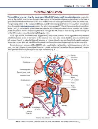 Chapter 4 The Fetus 49
THE FETAL CIRCULATION
The umbilical vein carrying the oxygenated blood (80% saturated) from the placenta, enters the
fetus at the umbilicus and runs along the free margin of the falciform ligament of the liver. In the liver, it
gives off branches to the left lobe of the liver and receives the deoxygenated blood from the portal vein.
The greater portion of the oxygenated blood, mixed with some portal venous blood, short circuits the
liver through the ductus venosus to enter the inferior vena cava (IVC) and thence to right atrium of the
heart. The O2
content of this mixed blood is thus reduced. Although both the ductus venosus and hepatic
portal/fetal trunk bloods enter the right atrium through the IVC, there is little mixing. The terminal part
of the IVC receives blood from the right hepatic vein.
In the right atrium, most of the well oxygenated (75%) ductus venosus blood is preferentially directed
into the foramen ovale by the valve of the inferior vena cava and crista dividens and passes into the
left atrium. Here it is mixed with small amount of venous blood returning from the lungs through the
pulmonary veins. This left atrial blood is passed on through the mitral opening into the left ventricle.
Remaining lesser amount of blood (25%), after reaching the right atrium via the superior and inferior
vena cava (carrying the venous blood from the cephalic and caudal parts of the fetus respectively) passes
through the tricuspid opening into the right ventricle (Fig. 4.1).
Fig. 4.1: Fetal circulation. (Number inside the circle indicates the percentage saturation of O2
)
Ch-04.indd 49 2/4/2015 10:53:10 AM
 
