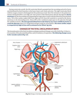 50 Textbook of Obstetrics
Fig. 4.2: Change in the fetal circulation after birth
During ventricular systole, the left ventricular blood is pumped into the ascending and arch of aorta
and distributed by their branches to the heart, head, neck, brain and arms. The right ventricular blood
with low oxygen content is discharged into the pulmonary trunk. Since the resistance in the pulmonary
arteries during fetal life is very high, the main portion of the blood passes directly through the ductus
arteriosusintothedescendingaortabypassingthelungswhereitmixeswiththebloodfromtheproximal
aorta. 70% of the cardiac output (60% from right and 10% from left ventricle) is carried by the ductus
arteriosus to the descending aorta. About 40% of the combined output goes to the placenta through
the umbilical arteries. The deoxygenated blood leaves the body by way of two umbilical arteries to
reach the placenta where it is oxygenated and gets ready for recirculation. The mean cardiac output
is comparatively high in fetus and is estimated to be 350mL/kg/min.
CHANGES OF THE FETAL CIRCULATION AT BIRTH
Thehemodynamicsofthefetalcirculationundergoesprofoundchangessoonafterbirth(Fig.4.2)dueto—
(1) cessation of the placental blood flow and (2) initiation of respiration. The following changes occur
in the vascular system (Fig. 4.2):
Ch-04.indd 50 2/4/2015 10:53:11 AM
 