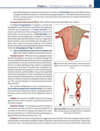 Chapter 5 Physiological Changes during Pregnancy 53
first half of pregnancy but pronounced up to 12 weeks. (2) Stretching: The muscle fibers further
elongate beyond 20 weeks due to distension by the growing fetus. The wall becomes thinner and,
at term, measures about 1.5 cm or less. The uterus feels soft and elastic in contrast to firm feel of
the nongravid uterus.
Arrangement of the muscle fibers: Three distinct layers of muscle fibers are evident:
(1) Outer longitudinal—It follows a hood-like
arrangementoverthefundus;somefibersarecontinuous
with the round ligaments. (2) Inner circular—It is
scanty and sphincter like arrangement around the
tubal orifices and internal os. (3) Intermediate—It is
the thickest and strongest layer arranged in crisscross
fashionthroughwhichthebloodvesselsrun.Apposition
of two double curve muscle fibers give the figure of ‘8’
form. Thus, when the muscles contract, they occlude
the blood vessels running through the fibers and hence
called the living ligature (Figs 5.1 and 5.2).
 Thereissimultaneousincreaseinnumberand
size of the supporting fibrous and elastic tissues.
Vascularsystem—Whereasinthenonpregnantstate,
the blood supply to the uterus is mainly through the
uterineandleastthroughtheovarianbut,inthepregnant
state, the latter carries as much the blood as the former.
There is marked spiraling of the arteries, reaching the
maximum at 20 weeks; thereafter, they straighten out.
Doppler velocimetry has shown uterine artery diameter
becomes double, and blood flow increases by eightfold
at 20 weeks of pregnancy. This vasodilatation is mainly
duetoestradiolandprogesterone.Veinsbecomedilated
and are valveless. Numerous lymphatic channels open
up. The vascular changes are most pronounced at the
placental site.
The uterine enlargement is not a symmetrical one.
The fundus enlarges more than the body. It is evident
by the low down attachment of the round ligaments or
insertion of the uterine end of the Fallopian tubes at
term.
Weight:Theincreaseinweightisduetotheincreased
growth of the uterine muscles, connective tissues and
vascular channels.
Relation: Shape—Nonpregnant pyriform shape is
maintained in early months. It becomes globular at
12 weeks. As the uterus enlarges, the shape once more
becomes pyriform or ovoid by 28 weeks and changes to
spherical beyond 36th week (see Fig. 7.5).
Position: Normal anteverted position is exaggerated up to 8 weeks. Thus, the enlarged uterus may lie
on the bladder rendering it incapable of filling, clinically evident by frequency of micturition. Afterwards,
it becomes erect, the long axis of the uterus conforms more or less to the axis of the inlet. As the term
Fig. 5.1: Schematic presentation of the longitudinal,
oblique and circular muscle ﬁbers of the pregnant
uterus
Figs5.2AandB: (A) Marked elongation of the muscle
ﬁbers during pregnancy, (B) Blood vessels in between
interlacing muscle ﬁbers
A B
Ch-05.indd 53 2/4/2015 10:54:24 AM
 
